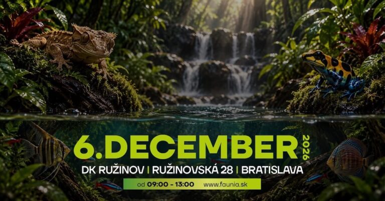 Faunia Bratislava december 2026