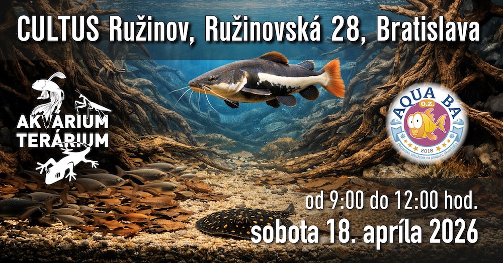 Akvárium Terárium apríl