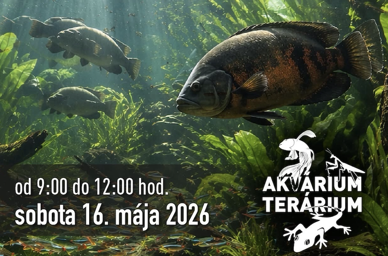Akvárium Terárium máj 2026