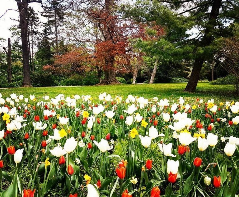 Wertheimsteinpark