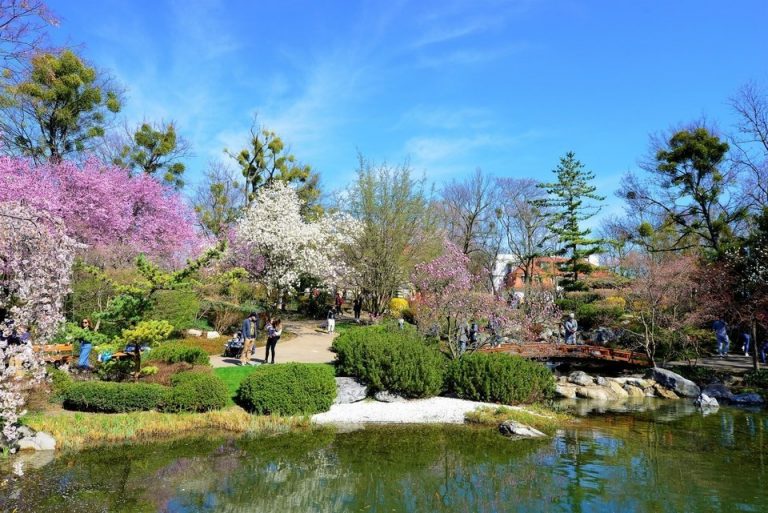 Setagaya Park