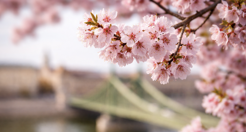 Áprilisi programok Budapest