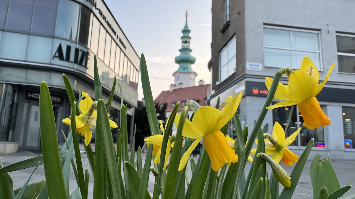Jar v Bratislave