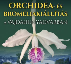 Orchid and bromeliad exhibition