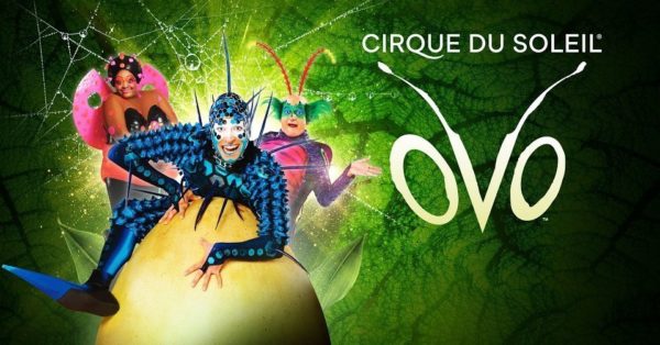 Cirque du Soleil OVO 