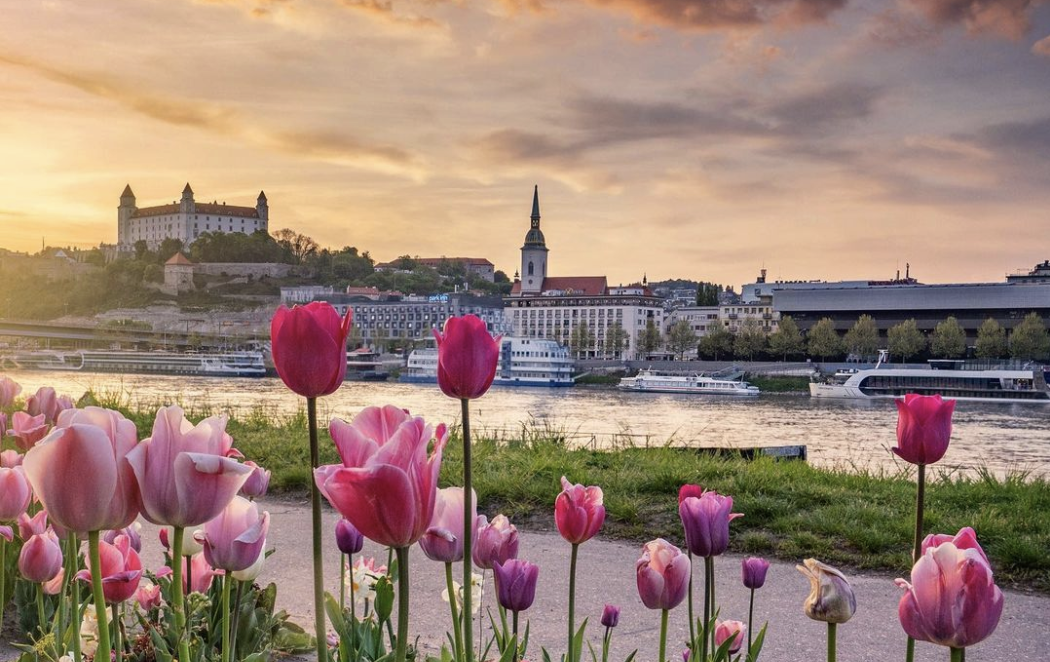 Čo sa deje v Bratislave v máji