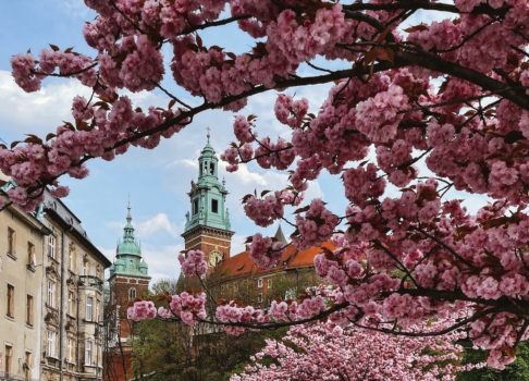 May in Krakow