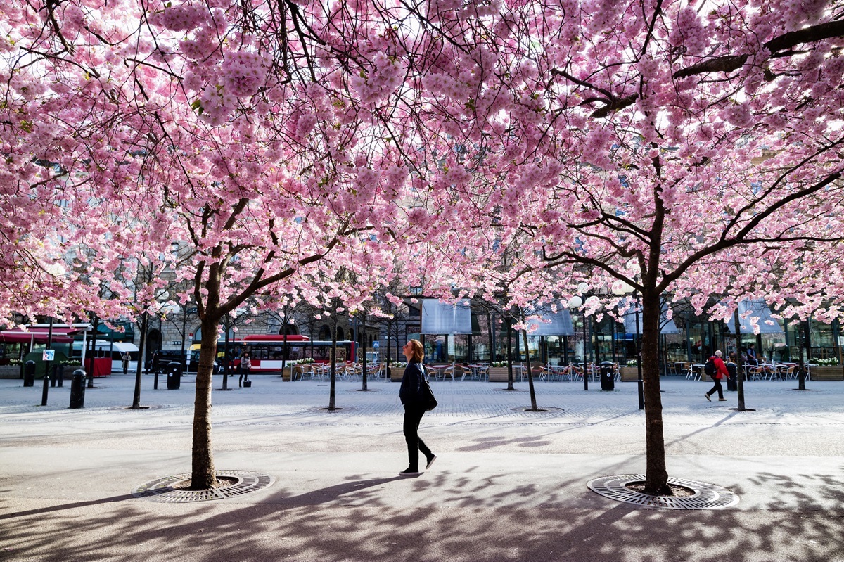 Stockholm in April