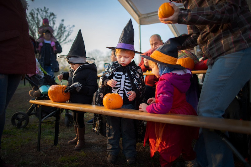 Halloween v Botanické Zahradě