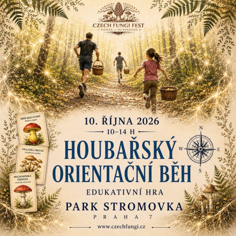 houbarskyorientacnibeh