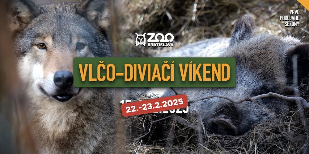 Vlčí víkend v ZOO