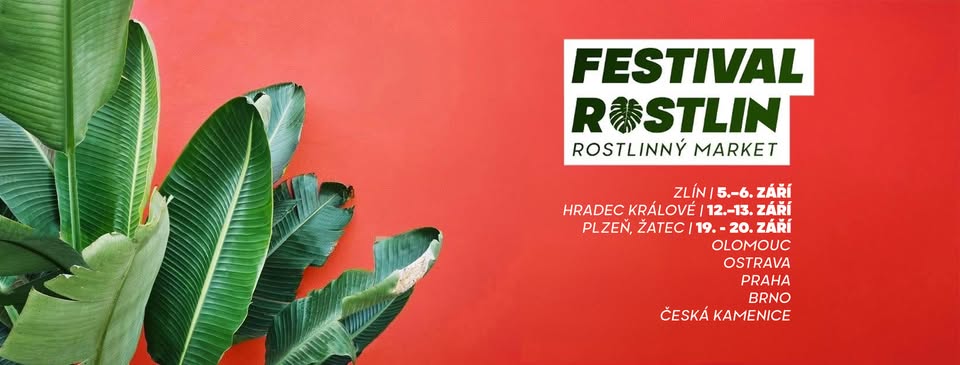 festival rostlin
