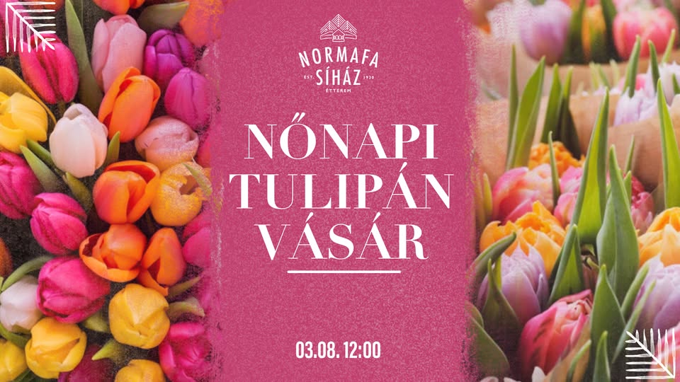 nonapi tulipanvasar