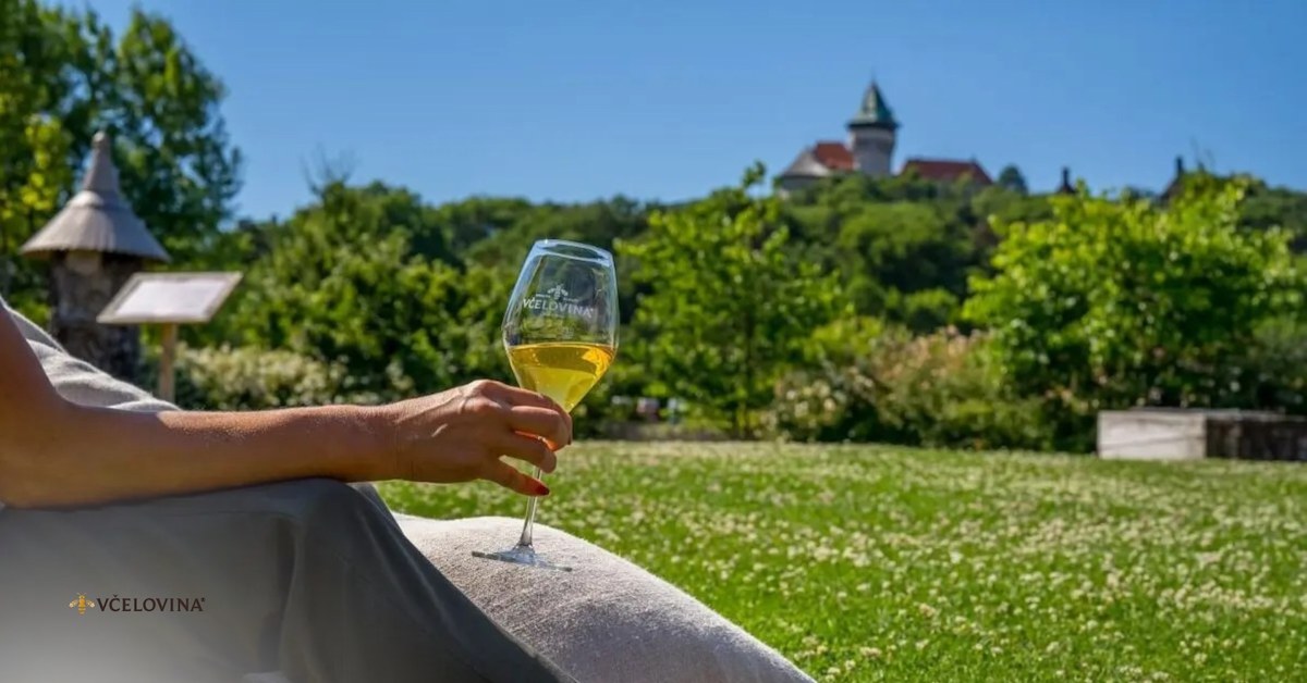 Summer Networking 2025