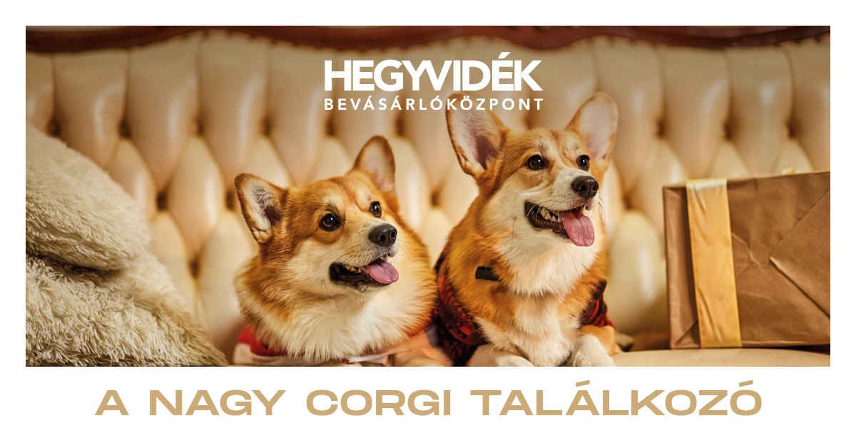 Corgi Találkozó