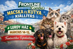 Macska és Kutyakiállítás