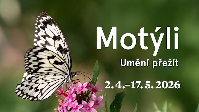 Výstava exotických motýlů