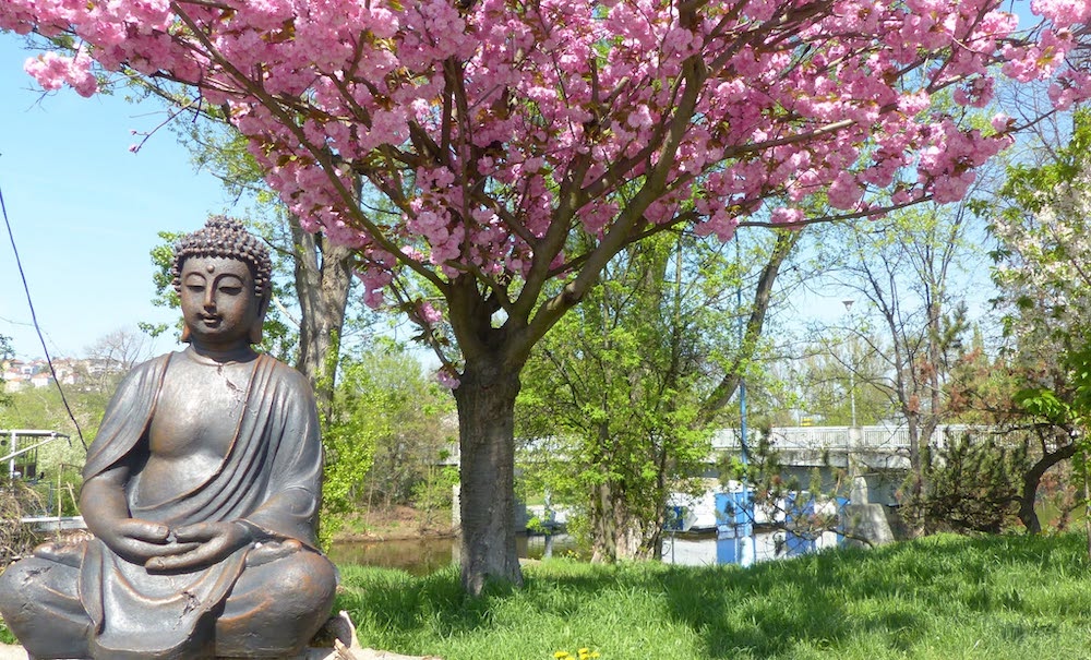 Nedělní meditační kurz