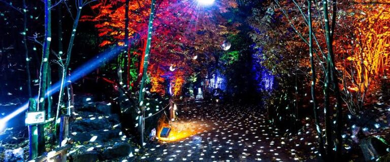 christmas garden berlin