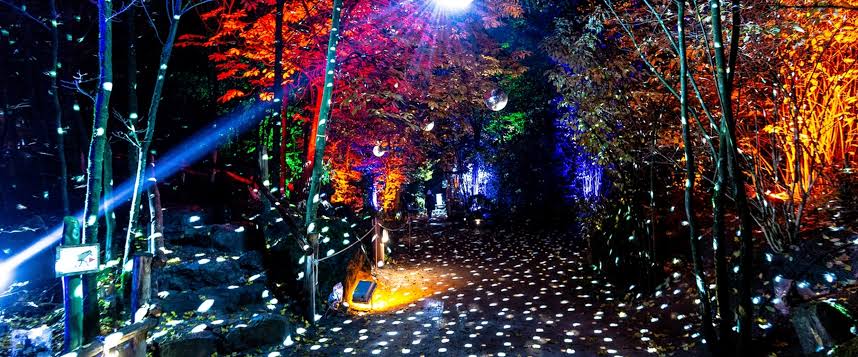 christmas garden berlin